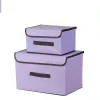 Two non-woven storage boxes 3